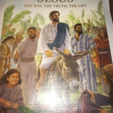 Jesus the way the truth the life softback book used