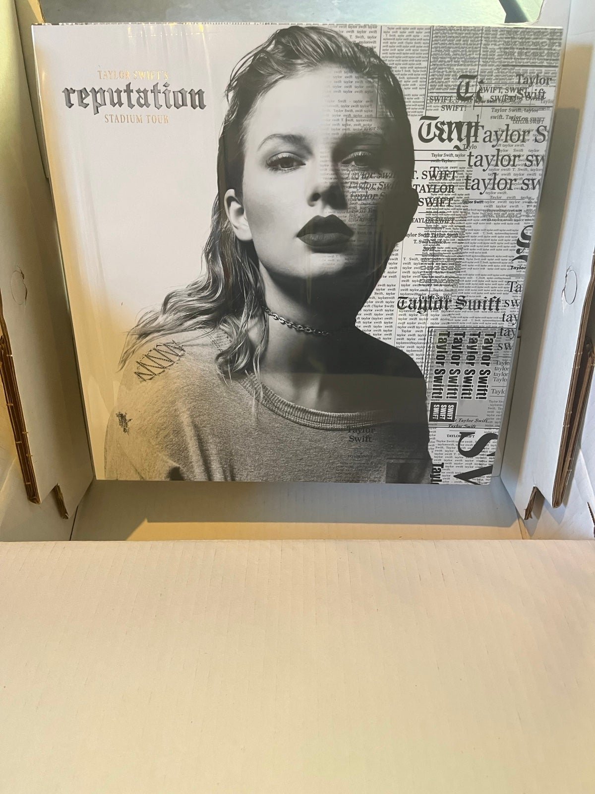 Taylor Swift’s Reputation Stadium Tour Fan Box