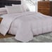 goose down comforter