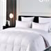 goose down comforter