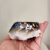 Druzy Agate
