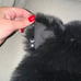 Spirithoods Mother Meow Furry Black Hat NWOT
