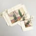 STEVENS LINENS Desert Sunset Napkins Placemats NWT Set Of 4 VTG Deadstock SW