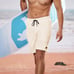 Mens Swim Trunks Swim Shorts with Compression Liner 9 inch Inseam Quick Dry