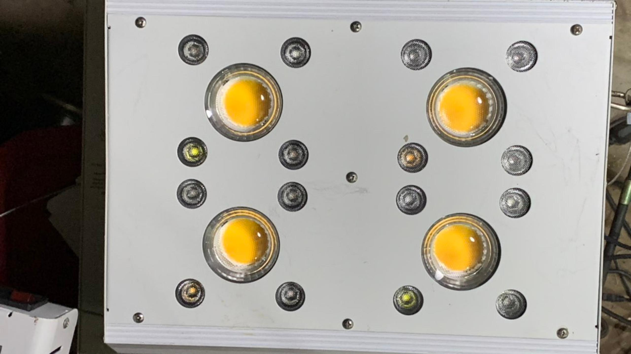 grow light