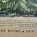 Vintage 1954 The Most Beautiful Tree In The World Children's Christmas Book