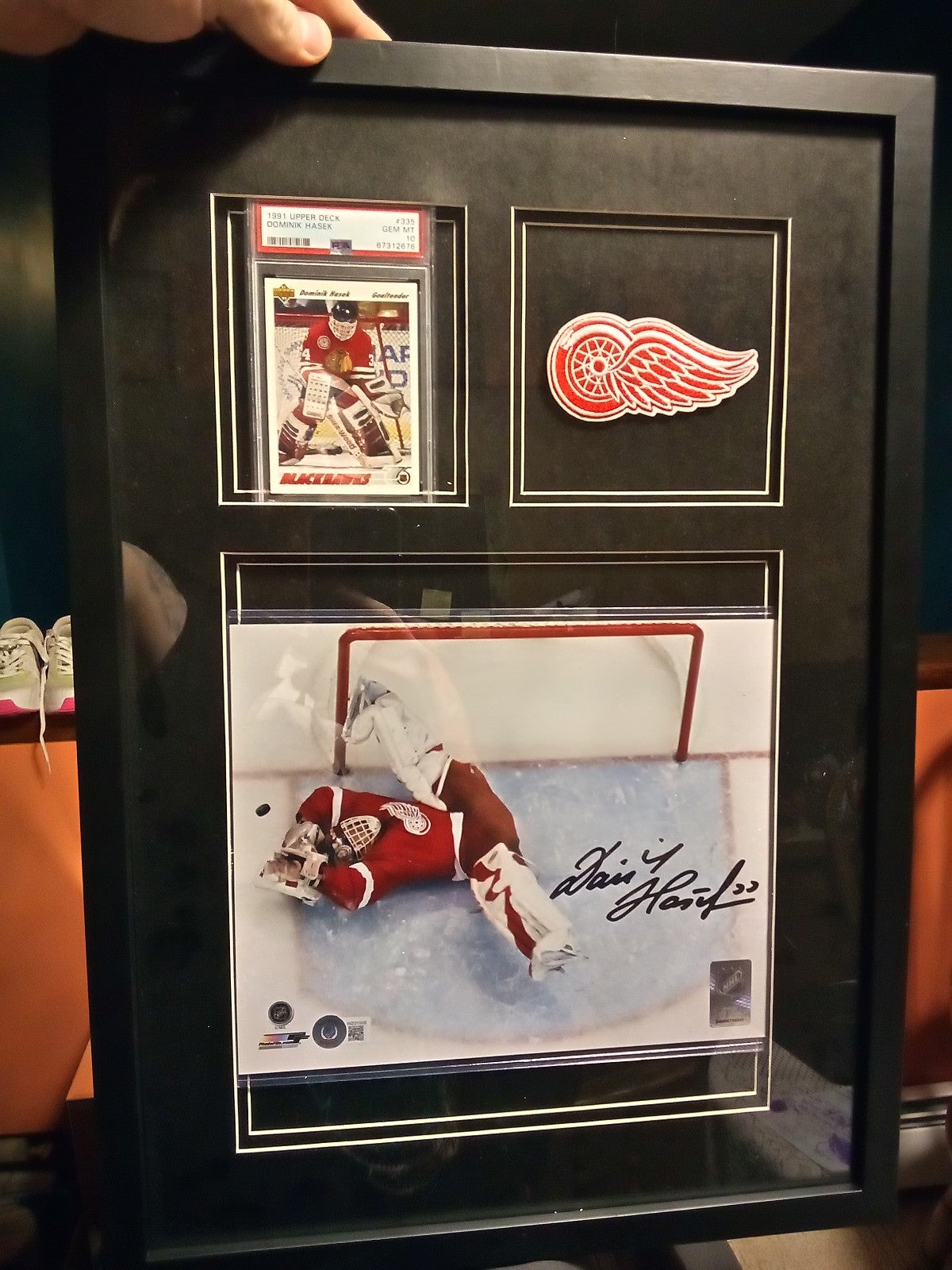 Dominik Hasek display