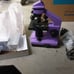 Microscope