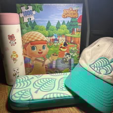Animal Crossing New Horizons Bundle