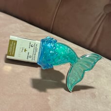Ariel wallflower