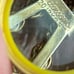 Rare Nastrik Gold Filled Chain Women's Wristwatch Manual Wind