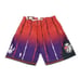 Toronto Raptors Mitchell Ness