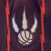 Toronto Raptors Mitchell Ness