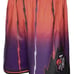 Toronto Raptors Mitchell Ness