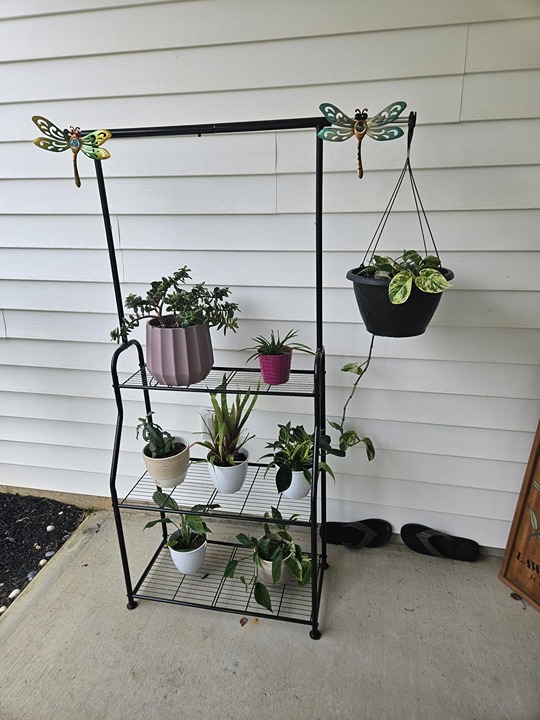 Plant Stand Indoor Outdoor, Heavy Duty Metal 3 Tiered Hanging Plant Shelf