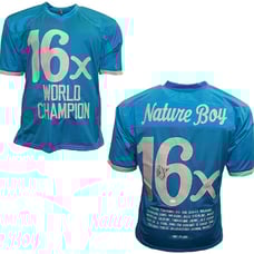 Ric Flair Signed Custom Blue Stats Jersey JSA