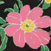 Kate Spade garden belt with scarf