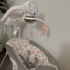 Baby swing