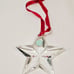 Tiffany and Co. crystal star pendant.