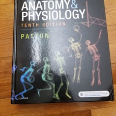 Anatomy and physiology textbook