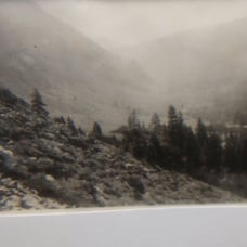 William M. McCarthy Photograph Collectio