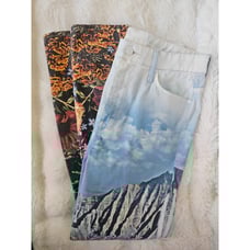 Mother Jeans High Waisted Looker Ankle Day In Paradise Size 28 Artsy Vacation