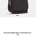 COACH GEORGIE RIVET COLOR BLOCK SADDLE BAG
