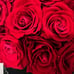 Dose of roses beverly hills