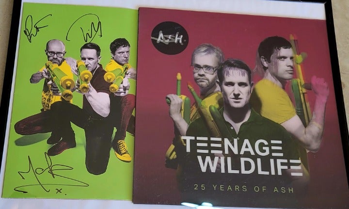 Ash 3D signed Vinyl album. Teenage Wildlife, 25 years of ash. autographed