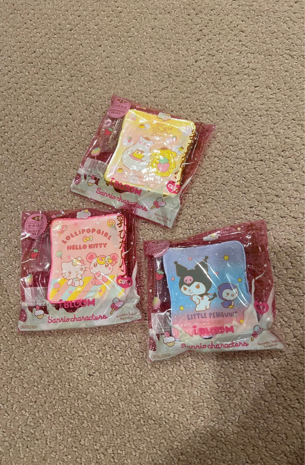 Ibloom squishy sanrio toast bundle