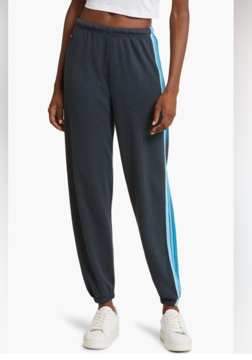 Aviator nation stripe sweatpants