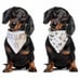 Rae Dunn White and Black Good Boy and Woof 2 Pack Bandanas Size Large/XL