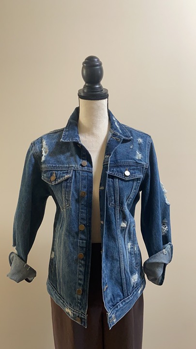 DL1961 PREMIUM DENIM JACKET