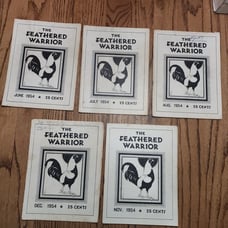 The Feathered Warrior