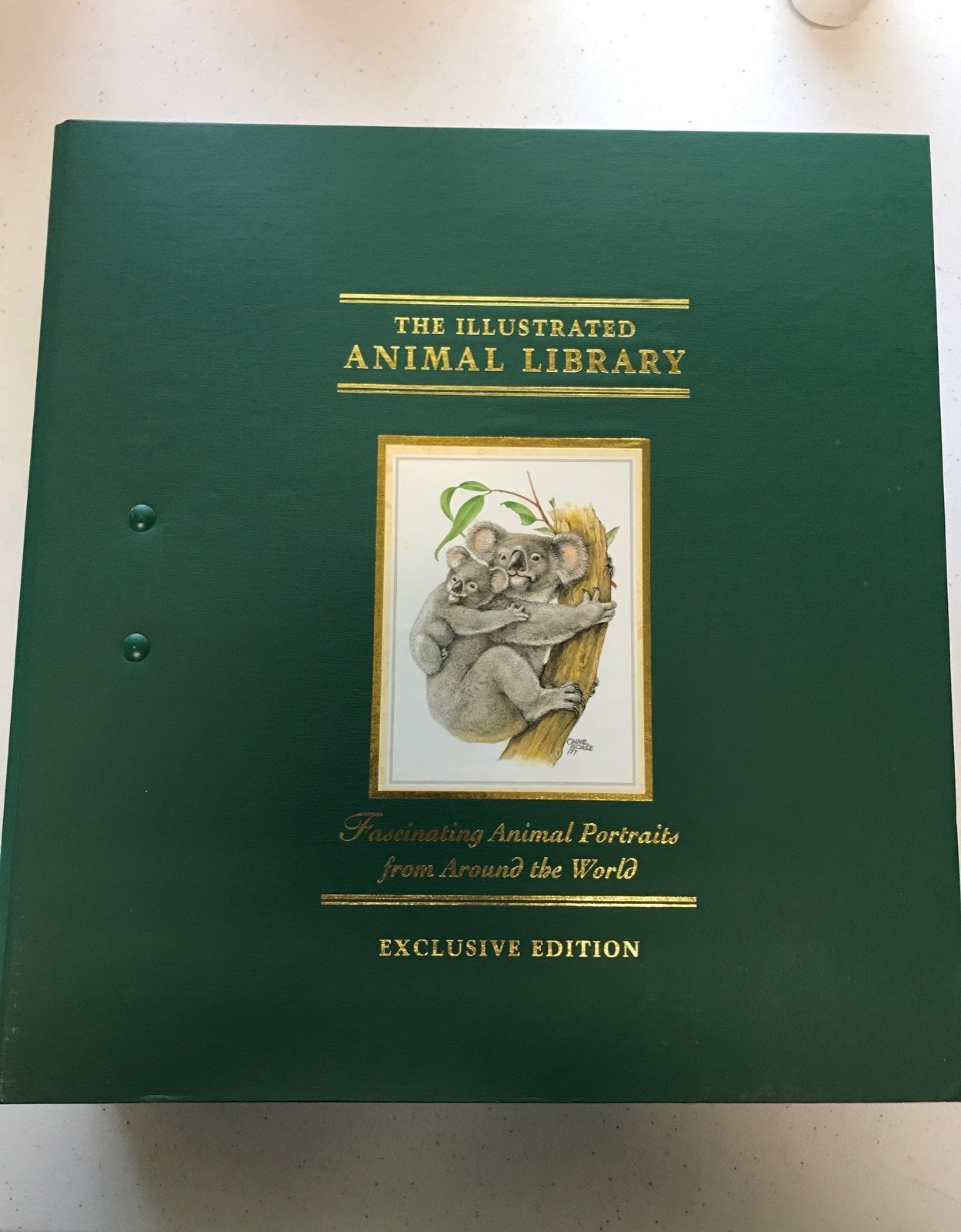 The Illustrated Animal Library Big Book