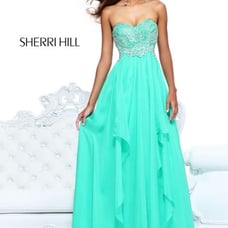 Sherri Hill Dress