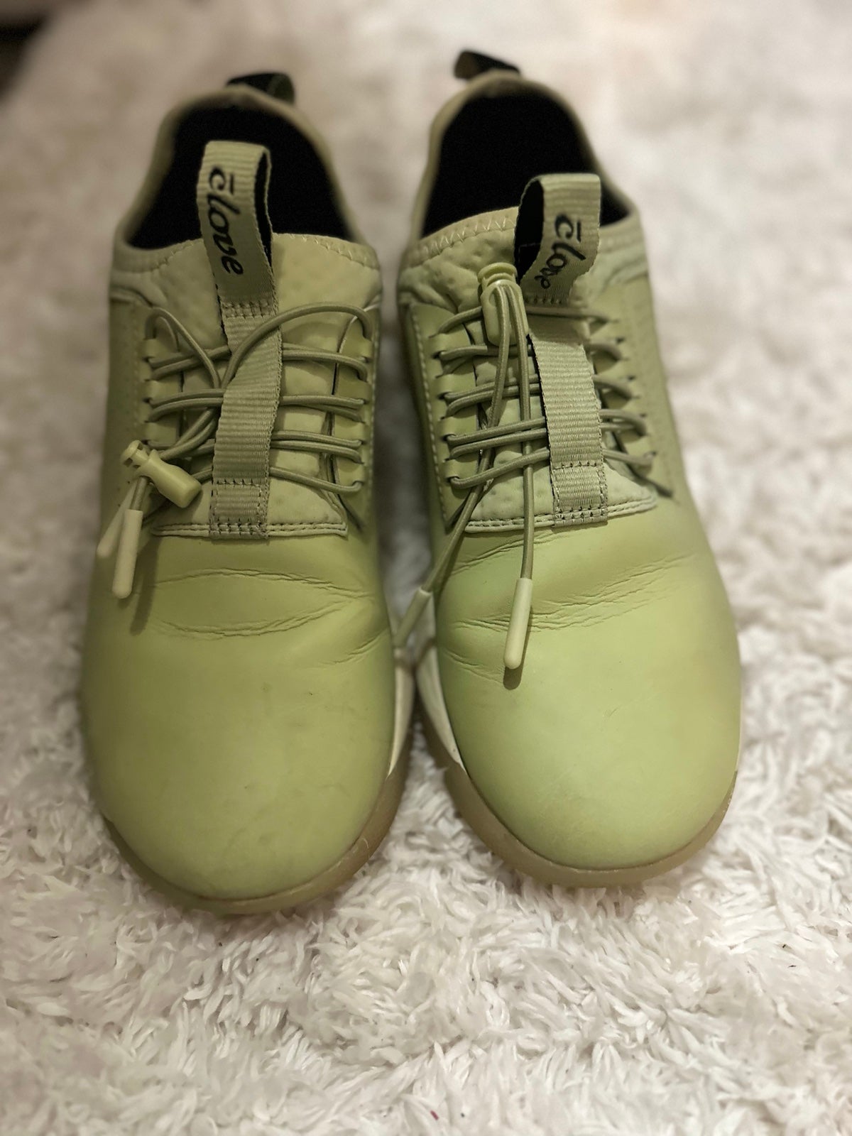 clove sneakers