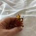 Big Bag Of Miniature Assorted Spiky Balls/keychain/sensory toys, Approx. 75