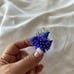 Big Bag Of Miniature Assorted Spiky Balls/keychain/sensory toys, Approx. 75