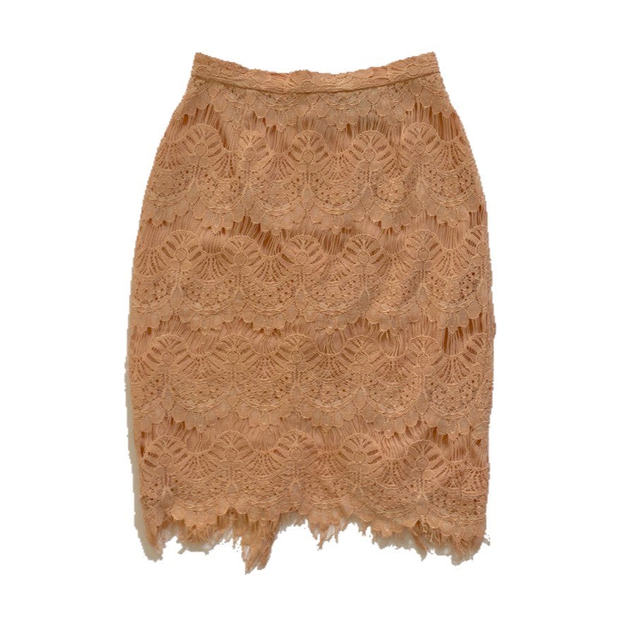 Style Stalker Lace Skirt