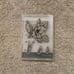 STAMPIN UP GOOD MORNING MAGNOLIA STAMP SET, EMBOSSING FOLDER & DIES Complete Set