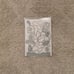 STAMPIN UP GOOD MORNING MAGNOLIA STAMP SET, EMBOSSING FOLDER & DIES Complete Set