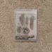 STAMPIN UP GOOD MORNING MAGNOLIA STAMP SET, EMBOSSING FOLDER & DIES Complete Set
