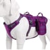WINHYEPET Tactical Harness vest Chai's Choice Dog with Waterproof backpack M