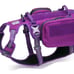 WINHYEPET Tactical Harness vest Chai's Choice Dog with Waterproof backpack M
