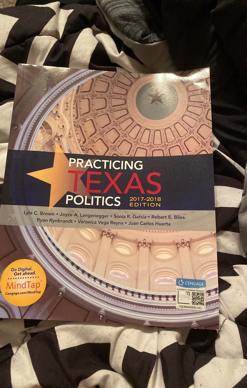 Practicing Texas Politics