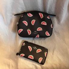 Coach Watermelon Purse and Wallet set