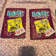 Dork Diaries chapters 2, 3 1/2, and 5 please read description