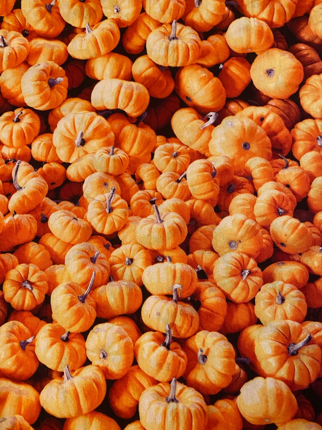 #9 Pumpkin Patch Fabric