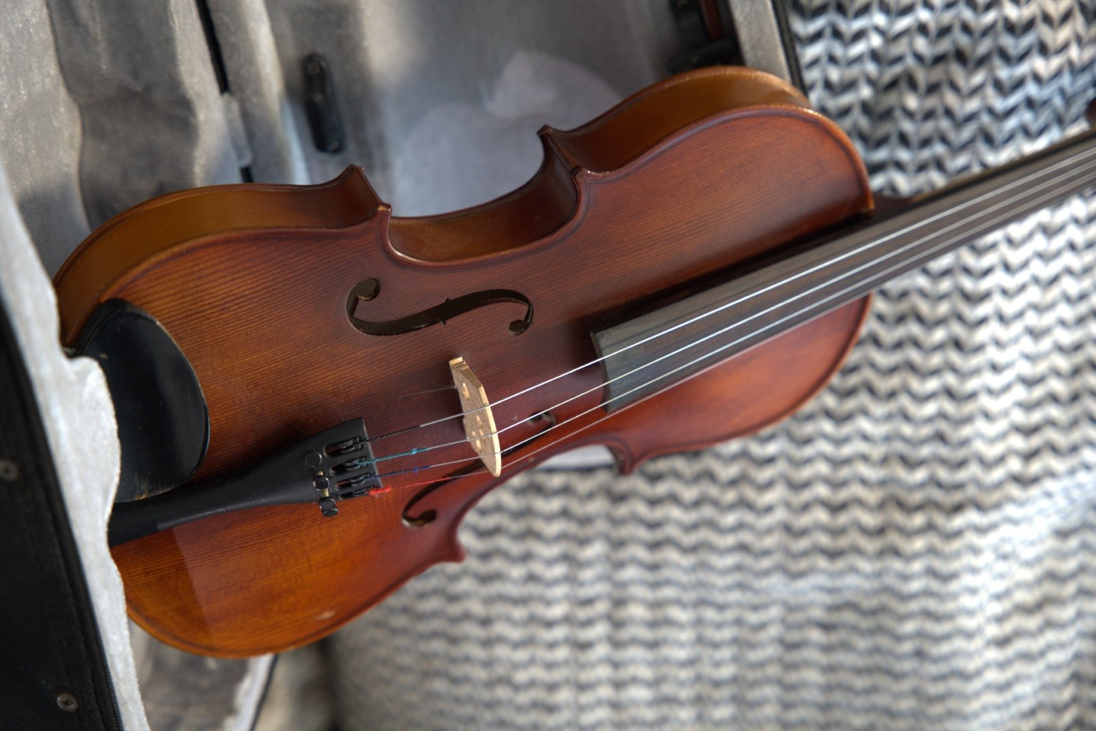 PROFESSIONAL 4/4 VIOLIN